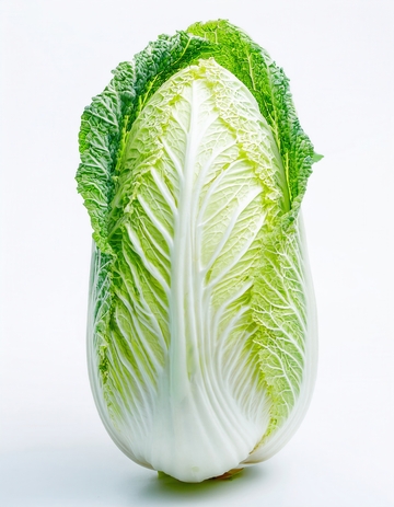 一颗新鲜饱满的大白菜