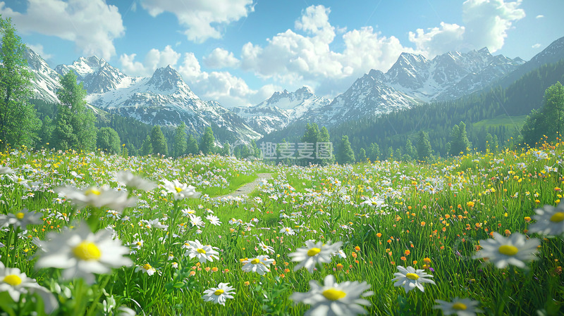 高清大图下载【趣麦麦图】春意盎然的雪山花海