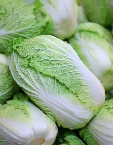 堆叠摆放的新鲜大白菜