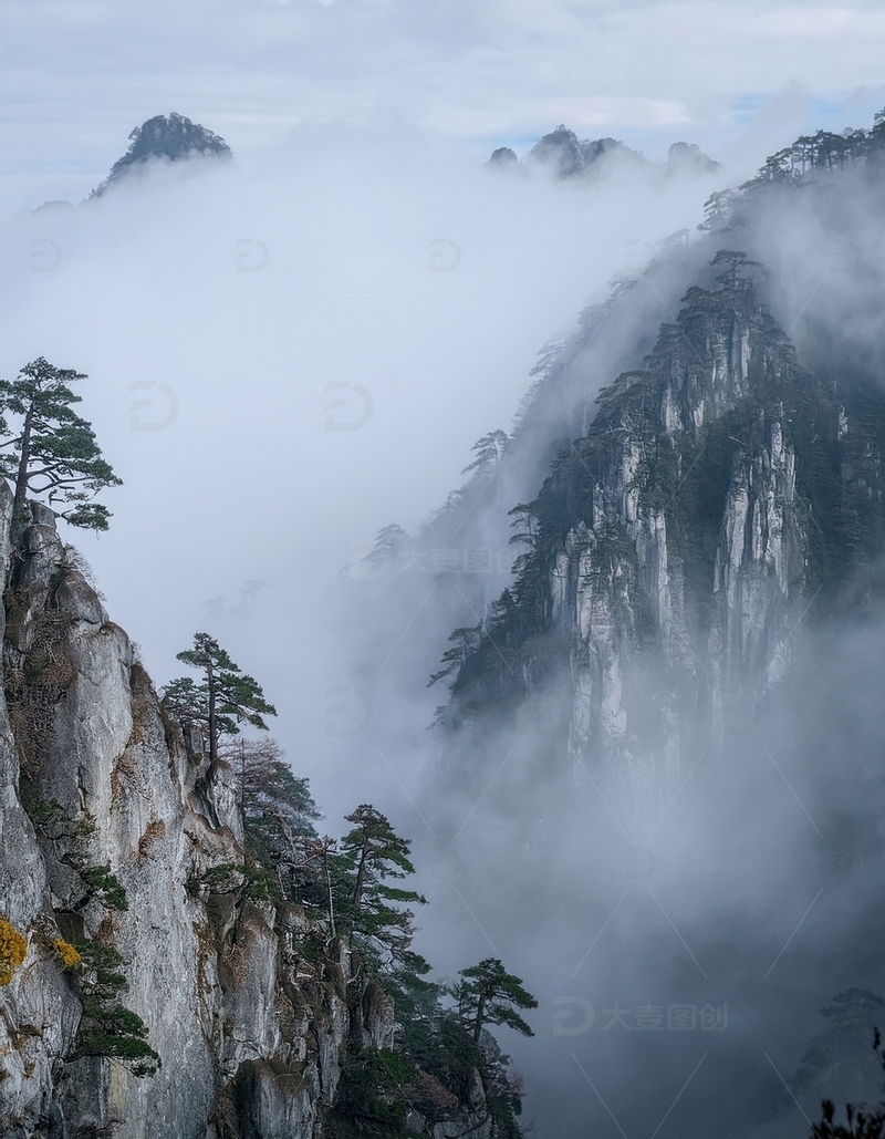 高清大图下载【趣麦麦图】云雾弥漫中黄山的奇松与峻岭