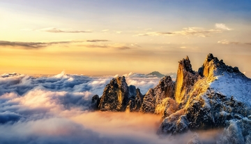 黄山云海之上被晨光染金的峰峦