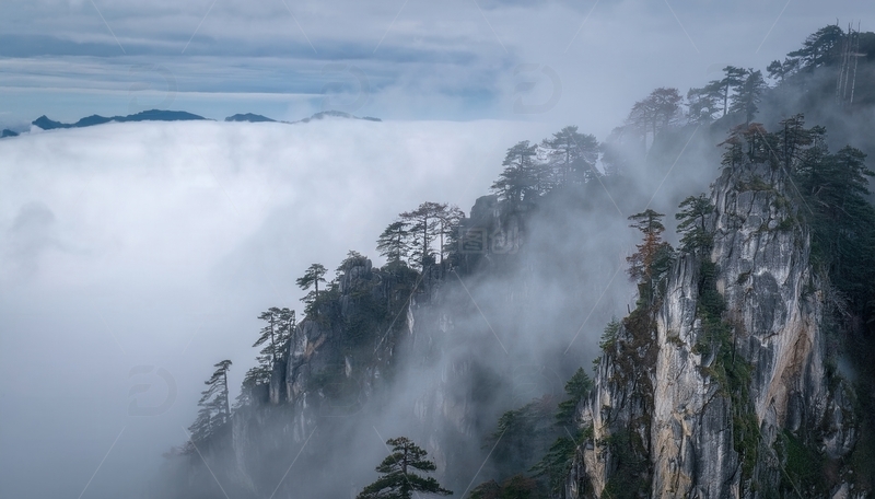 高清大图下载【趣麦麦图】云海漫裹下黄山的峭壁松林胜景