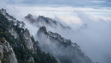 云雾缭绕中黄山的奇峻峰林松影