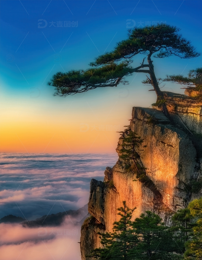 高清大图下载【趣麦麦图】云海霞光中悬崖上的黄山孤松