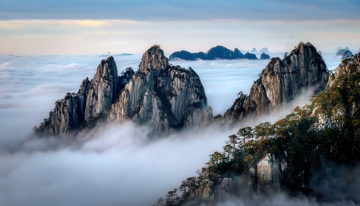 黄山云海中雄奇峻峭的峰林景致