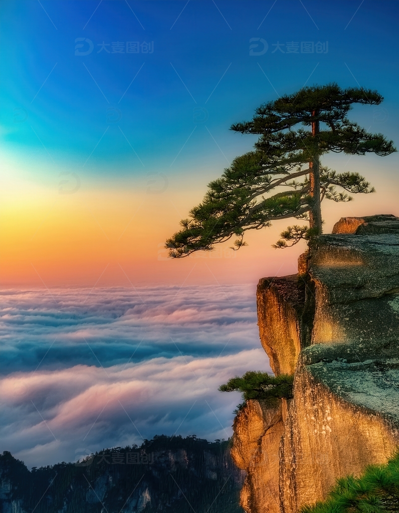 高清大图下载【趣麦麦图】云海之上悬崖边的黄山奇松