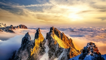 日出时黄山峰林在云海中的壮丽之景