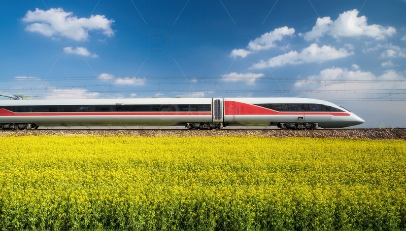 高清大图下载【趣麦麦图】高铁穿花海，驰骋于蓝天白云下