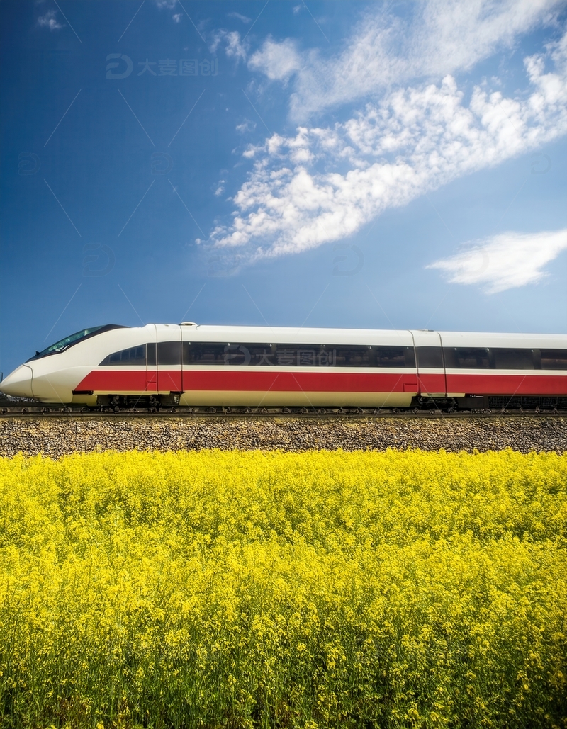 高清大图下载【趣麦麦图】高铁驰过，穿行金黄花海与蓝天