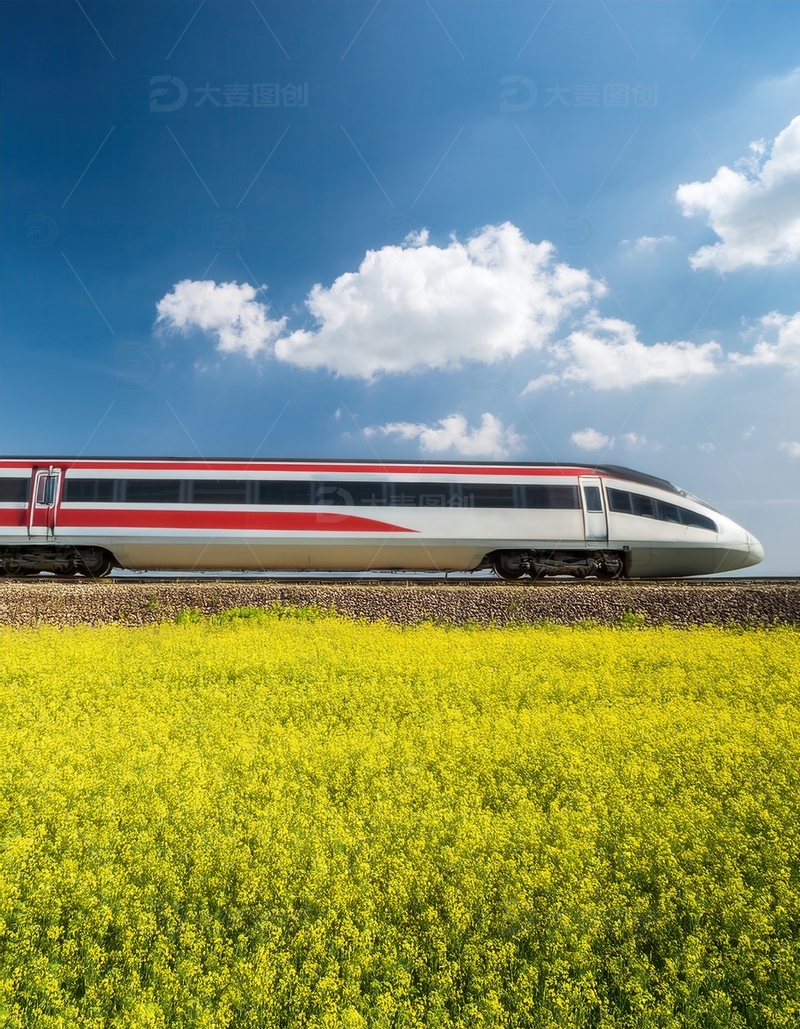 高清大图下载【趣麦麦图】高铁穿行于金黄灿烂的油菜花海
