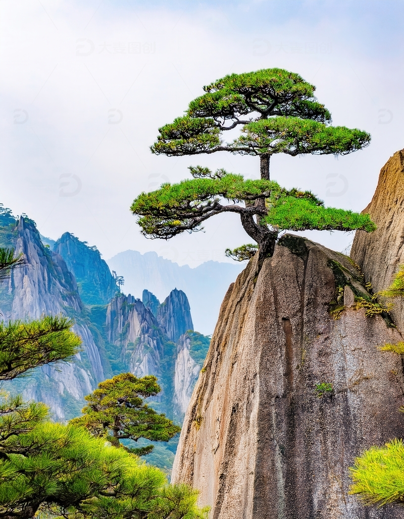 高清大图下载【趣麦麦图】峭壁之上傲然挺立的黄山奇松
