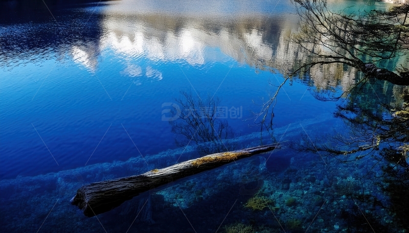 高清大图下载【趣麦麦图】九寨沟幽蓝湖水中的枯木倒影画卷