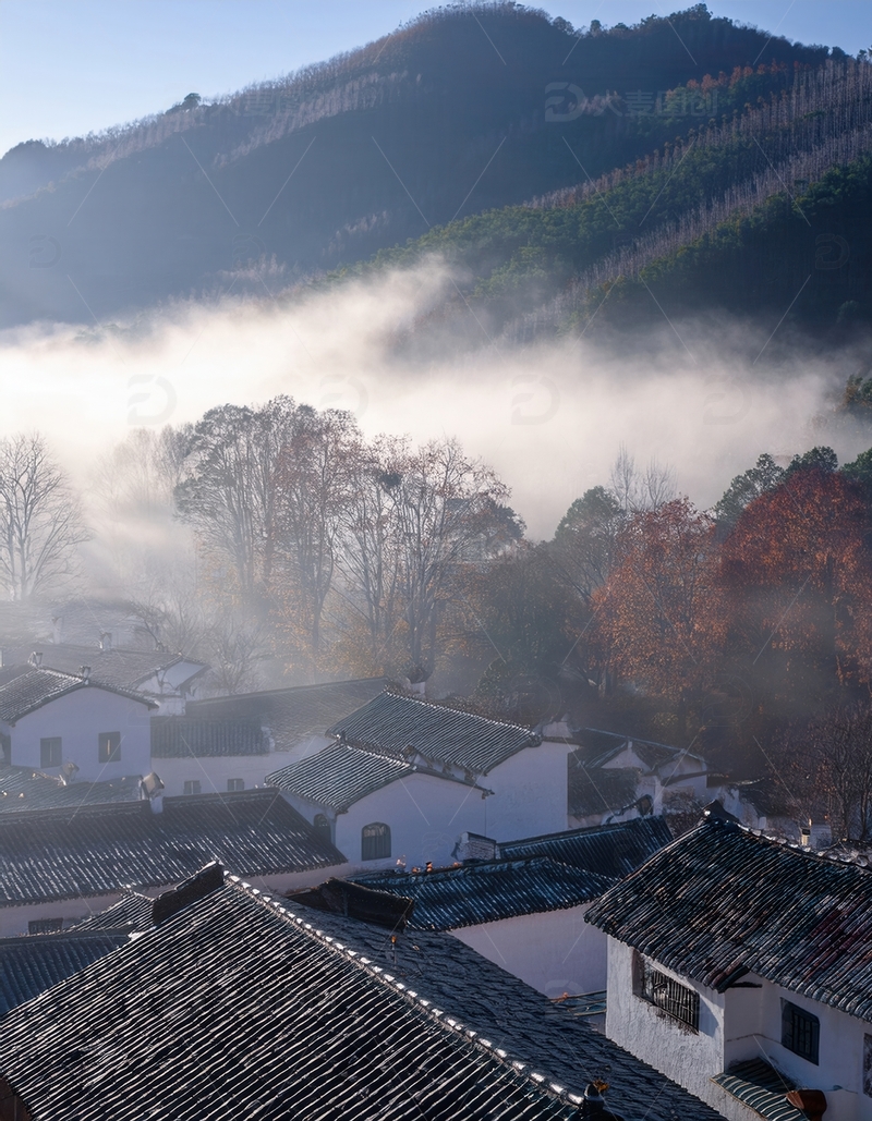 高清大图下载【趣麦麦图】晨雾中的徽派村落与山林