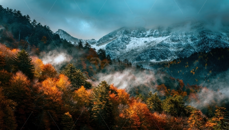 高清大图下载【趣麦麦图】秋林薄雾里若现的冷峻雪山之景