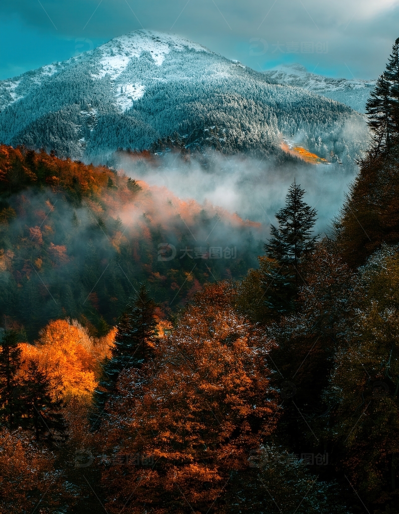 高清大图下载【趣麦麦图】雪岭云雾间斑斓秋林的迷人景致