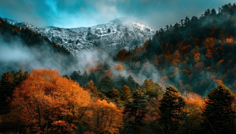 高清大图下载【趣麦麦图】秋林云雾间隐现的皑皑雪山