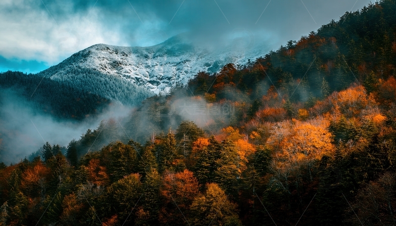 高清大图下载【趣麦麦图】秋林迷雾中若隐若现的皑皑雪山