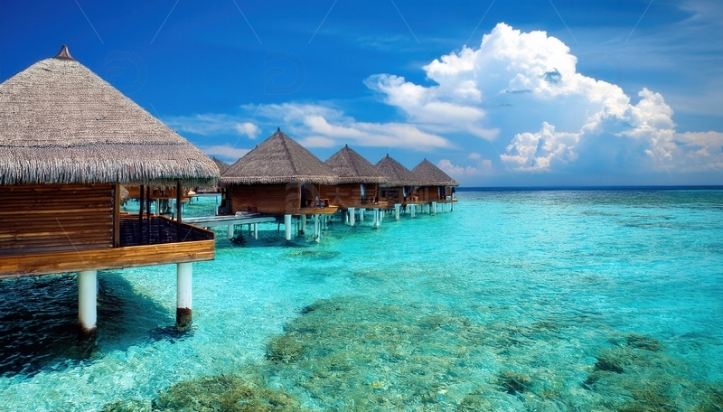 高清大图下载【趣麦麦图】马尔代夫碧海之上的水上茅草屋群