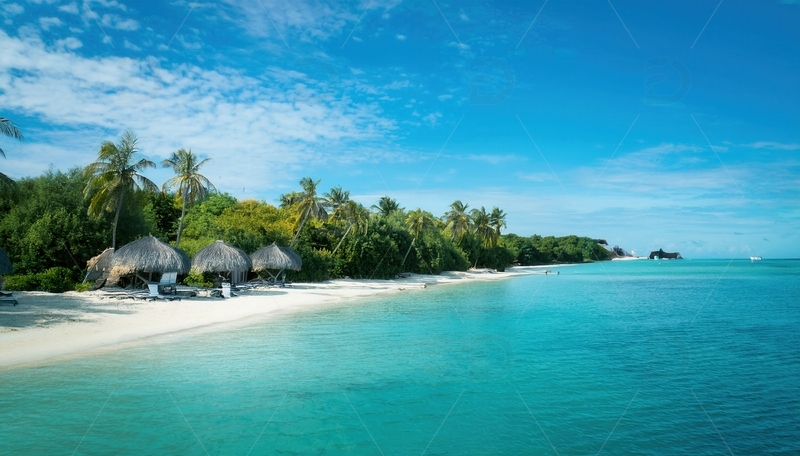 高清大图下载【趣麦麦图】马尔代夫椰林环绕的宁静白色沙滩
