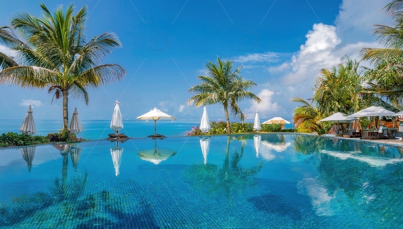 高清大图下载【趣麦麦图】马尔代夫椰影下的海滨澄澈泳池风光