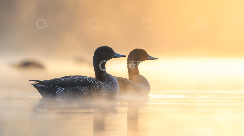 高清大图下载【趣麦麦图】日出时分