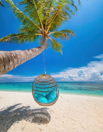 马尔代夫沙滩椰树下悬着的惬意吊椅