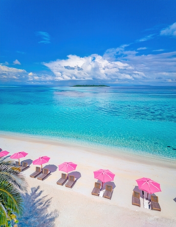 马尔代夫海滨粉伞沙滩的惬意风光