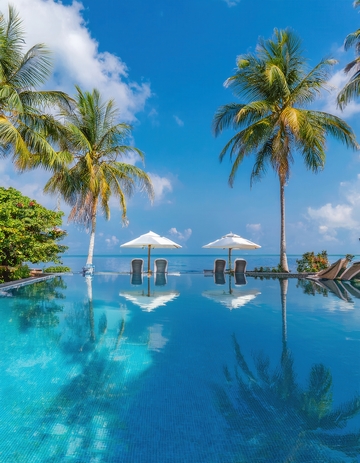 马尔代夫椰影下的澄澈无边海滨泳池