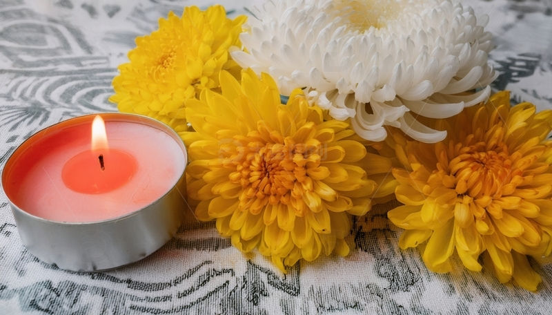 高清大图下载【趣麦麦图】烛伴菊放，寄意清明缅怀时刻