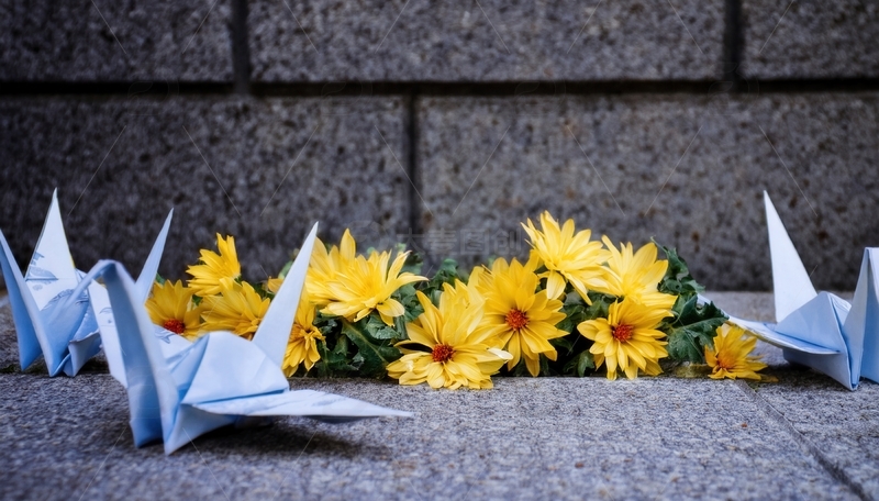 高清大图下载【趣麦麦图】纸鹤伴菊，寄意清明深沉追思