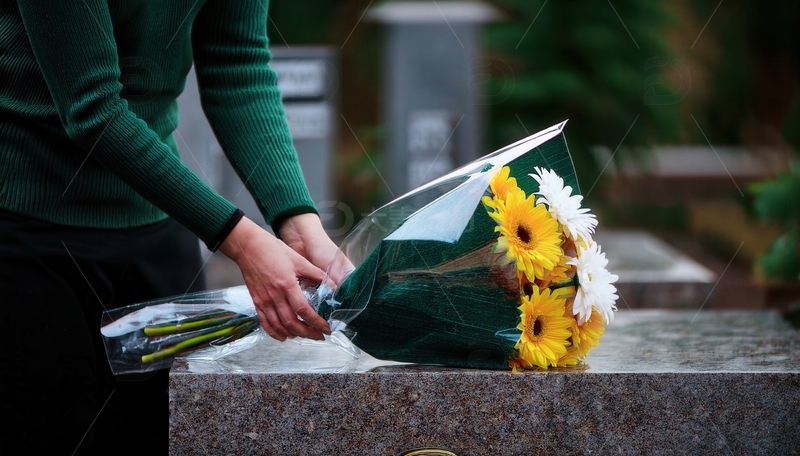 高清大图下载【趣麦麦图】墓前献花束，寄清明深深悼念