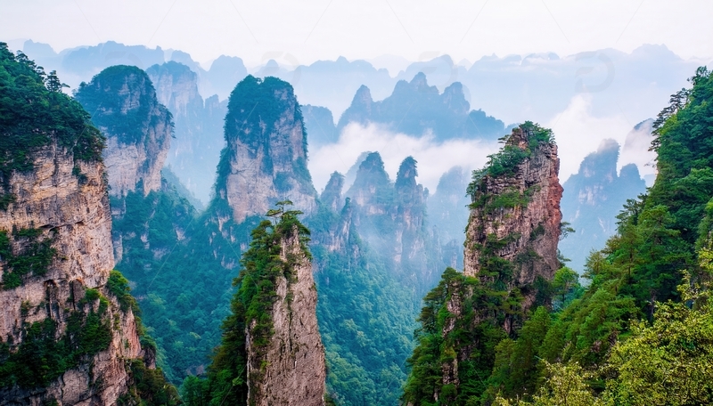 高清大图下载【趣麦麦图】张家界云雾间的秀丽奇特峰林景