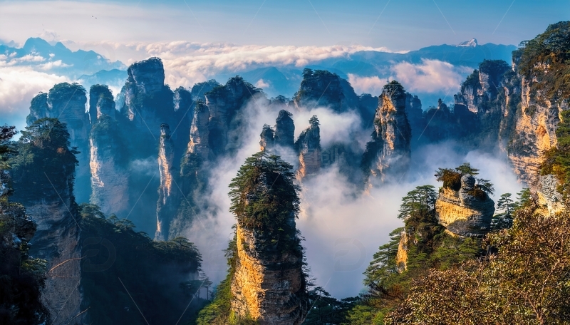 高清大图下载【趣麦麦图】张家界云海簇拥的壮美峰林盛景