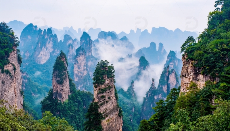高清大图下载【趣麦麦图】张家界云雾缭绕的壮美峰林景致