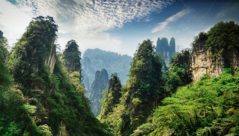 高清大图下载【趣麦麦图】张家界绿影婆娑的秀丽峰林风光