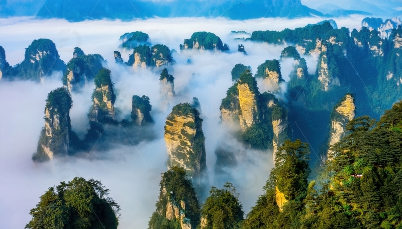 高清大图下载【趣麦麦图】张家界云漫峰林的缥缈壮美之景