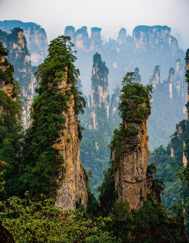 高清大图下载【趣麦麦图】张家界翠影摇曳的奇绝林立峰群
