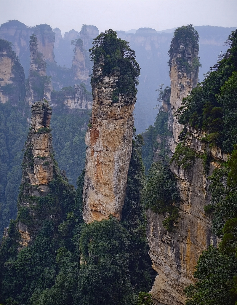 高清大图下载【趣麦麦图】张家界绿荫覆峰的奇绝林立景观