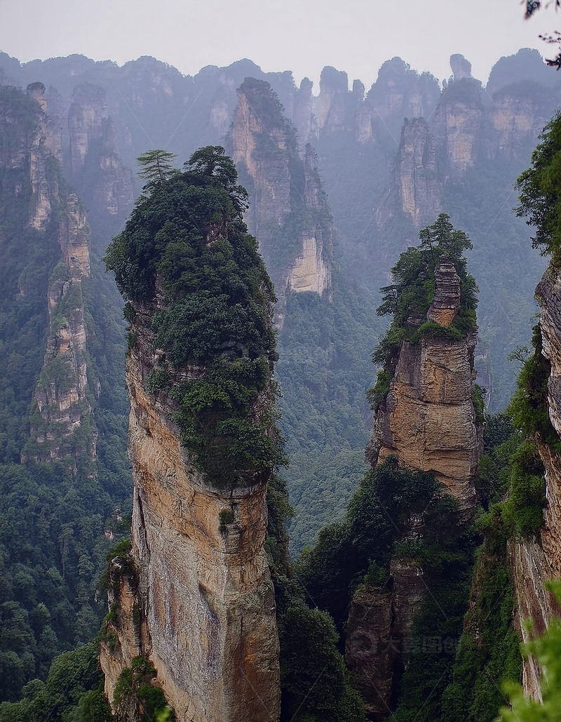 高清大图下载【趣麦麦图】张家界翠意盈峰的雄奇峰林景致