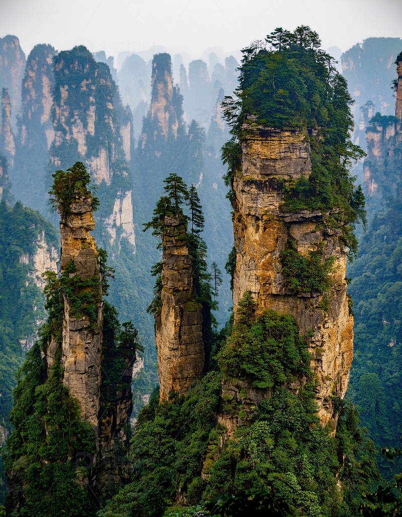 高清大图下载【趣麦麦图】张家界植被覆顶的奇秀险峻峰林