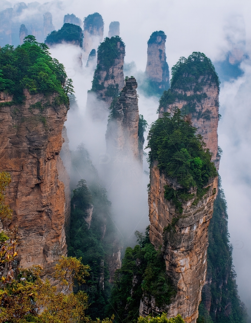 高清大图下载【趣麦麦图】张家界云雾里的奇峻峰林绿色胜景