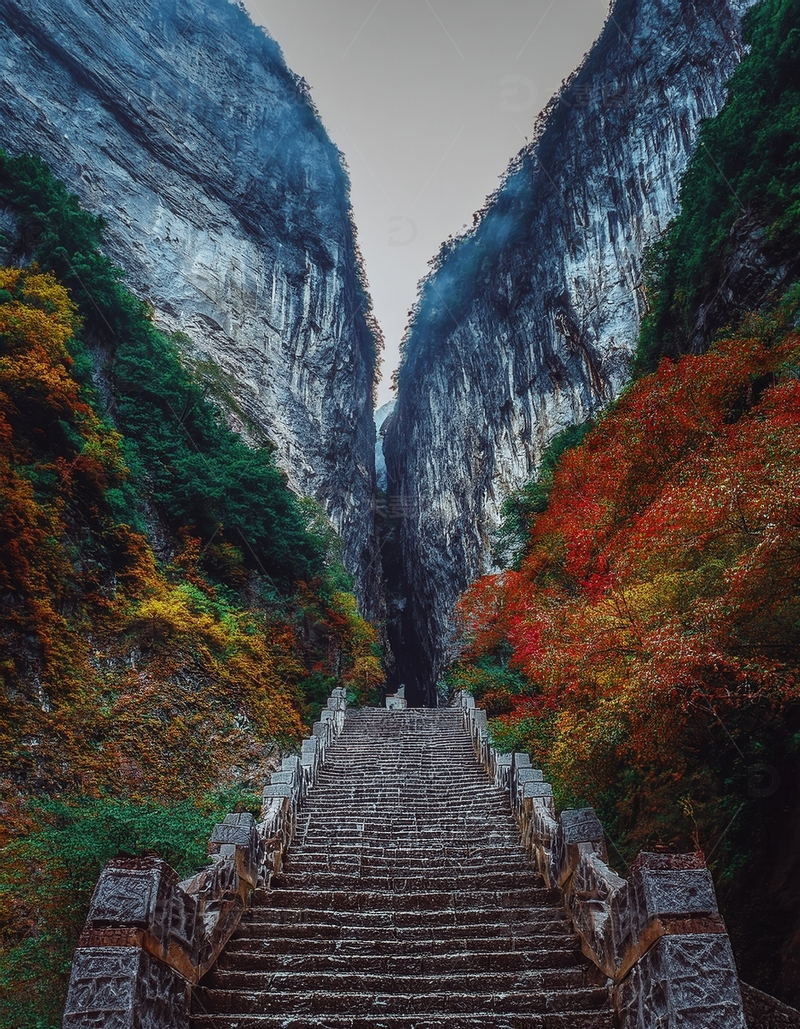 高清大图下载【趣麦麦图】张家界秋色里通往峡谷的古朴石阶