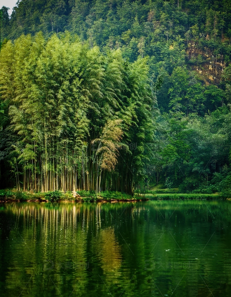 高清大图下载【趣麦麦图】山林旁翠绿竹林在湖面的宁静倒影