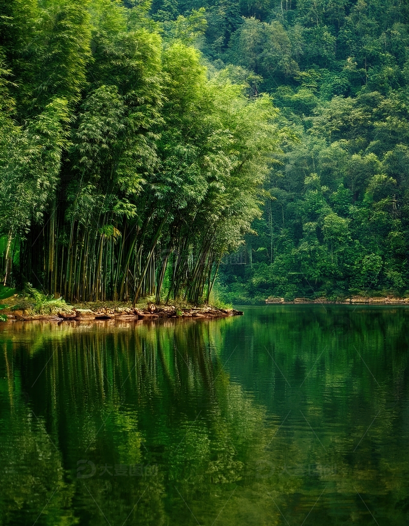 高清大图下载【趣麦麦图】静谧湖边茂密竹林的如画倒影