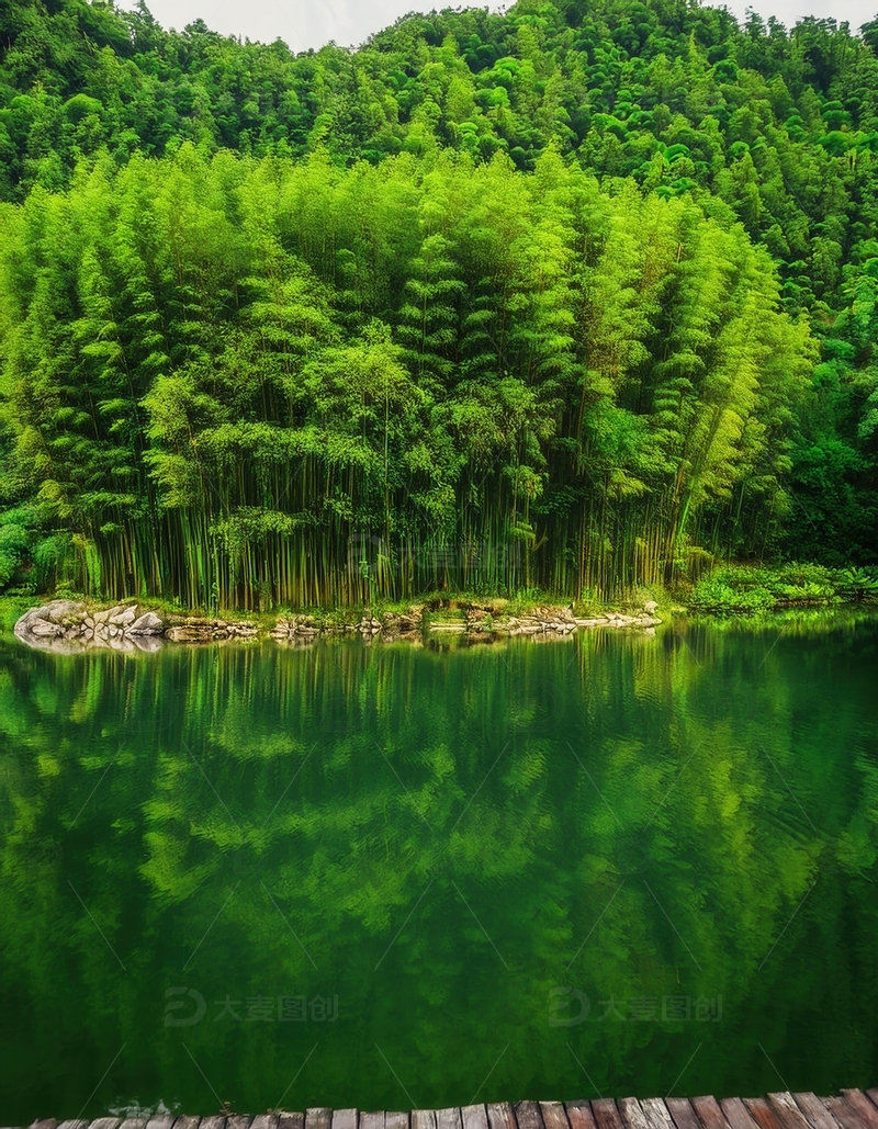 高清大图下载【趣麦麦图】静谧湖畔茂密竹林的迷人倒影