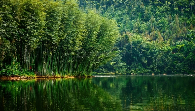 高清大图下载【趣麦麦图】翠竹林映于如镜湖面的静美风光