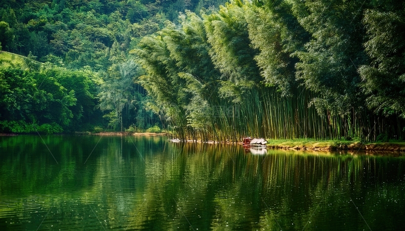 高清大图下载【趣麦麦图】静谧湖畔翠绿竹林的倒影之美