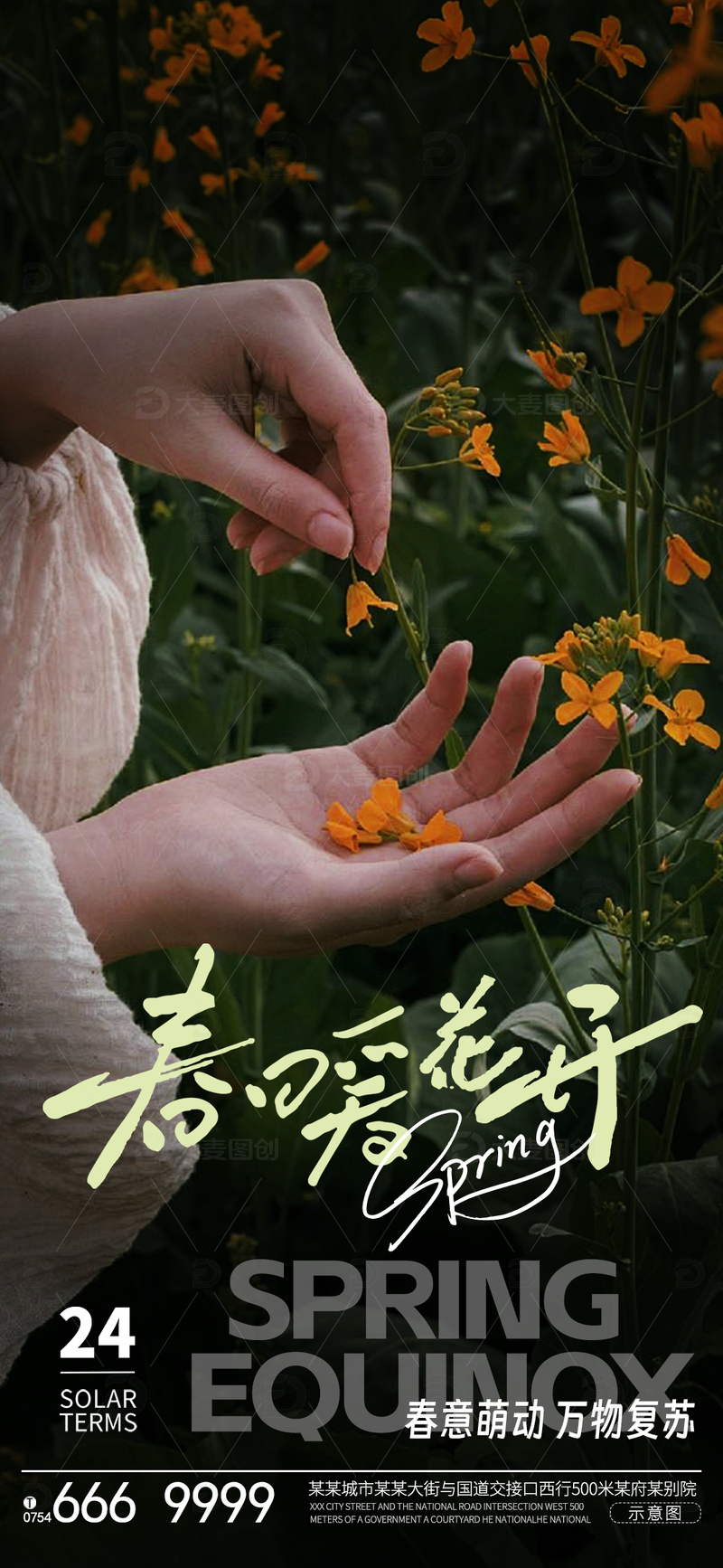 春分海报设计13