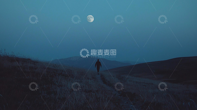 高清大图下载【趣麦麦图】月夜