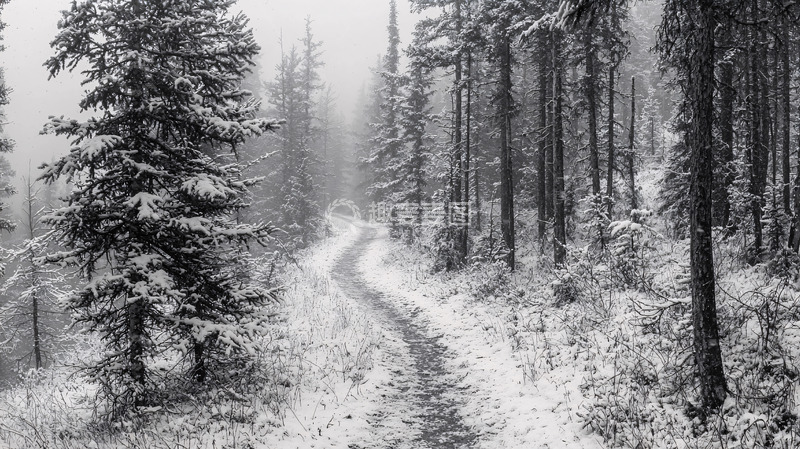 高清大图下载【趣麦麦图】雪覆盖的森林小路